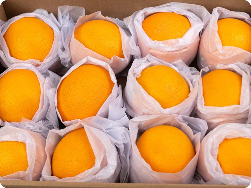 Agriculture Agriculture