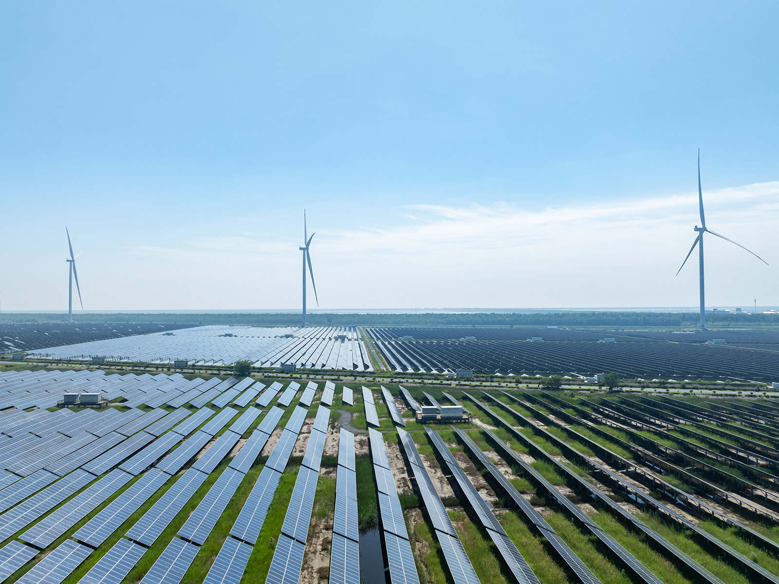 Solar panels and wind turbines field